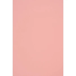 100 Sheets Light Pink Coloured Paper DIN A4 210 x 297 mm, 140 g, Woodstock Pink, Eco, Recycled Paper – Ideal for Weddings, Christmas, Birthday, Invitations, Business Cards, Crafts and Decorating