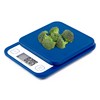 Ozeri Garden and Kitchen Scale II, with 0.1 g (0.005