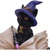 Nemesis Now Binx Small Witches Familiar Black Cat and Spellbook