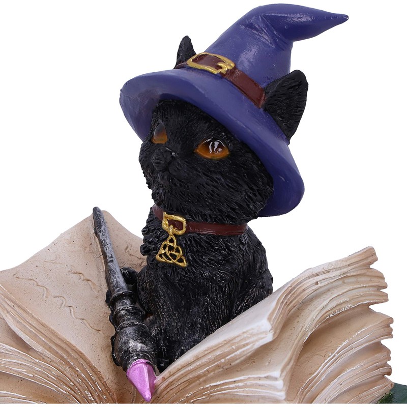 Nemesis Now Binx Small Witches Familiar Black Cat and Spellbook