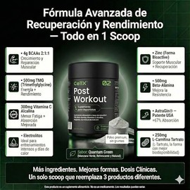 CELLX  Post Workout Suplemento Deportivo con BCAAs 211, Beta Alanina, Carnitina, Magnesio, Zinc y AstraGin  300 g (Manzana verde)                     