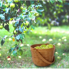 Vintiquewise(TM) Small Chip Apple Picking Basket