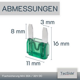 Tecside 30 A Car Fuses Mini | 12 V 24 V 32 V | Pack of 10 | Plug Fuses for Power Theft & Fuse Holder | 11 mm Blade Fuses for Car, Boat, Motorcycle, Motorhome, Scooter | Replacement Fuses