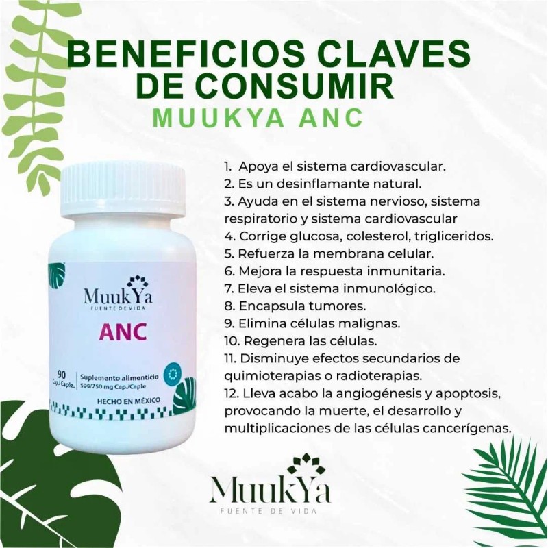 Muukya ANC: ¡Potencia tu Mente por 3 Meses! Soporte Cognitivo