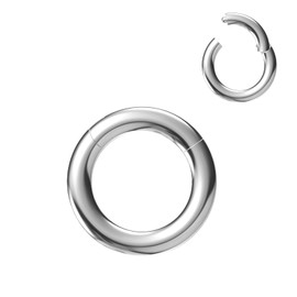 NewkeepsR 10G 16mm(5/8 inch) Large Gauge 316L Surgical Steel Septum Hinged Clicker Segment Orbital Conch Rings