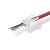 Nedis RJ45 Connector - RJ45 Pass Through - Stranded UTP