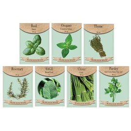 Set of 7 Culinary Herb Garden Seed Collection – Grow Fresh Herbs for Cooking & Seasoning – Non-GMO, Heirloom, High Germination – Basil, Oregano, Thyme & More