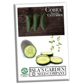 Cobra Cucumber Seeds for Planting, 25+ Seeds Per Packet, (Isla's Garden Seeds), Non GMO Seeds, Botanical Name: Cucumis sativus, Great Home Garden Gift