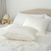 CloudDwelling 100% Pure Mulberry Silk Pillowcase 22 Momme 6A High-Grade