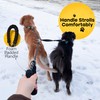 Double Dog Leash, Dual Dog Leash with Foam Handle and