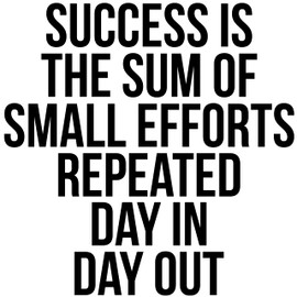 My Vinyl Story | Success Is The Sum Of Small Efforts Repeated Day In Day Out | LARGE Motivational Large Gym Wall Decal Quote for Home Gym Yoga Exercise Fitness Workout Fitness Motivational Wall Art Decor Vinyl Removable Sticker 22x22 inches