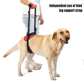 NOYAL Dog Lift Harness for Senior & Injured Pets – Full-Body Support Sling with Breathable Mesh, Front/Rear Leg Assist for Arthritis, Hip Dysplasia & Post-Surgery Recovery (Medium-Large Breeds)