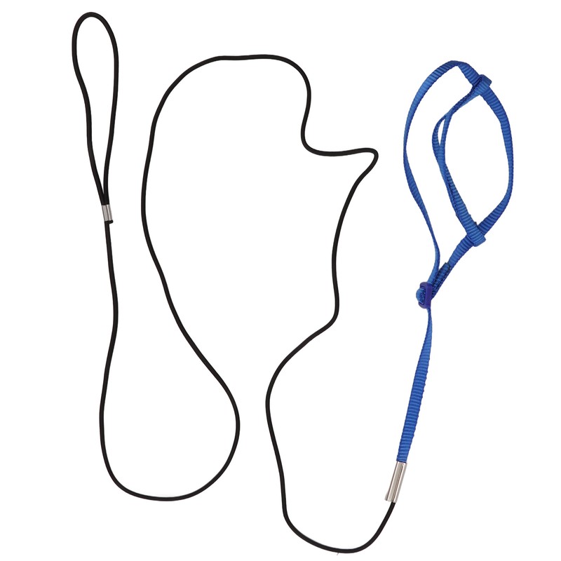 Parrot Harness Leash Adjustable Bird Flying Harness Traction Rope with