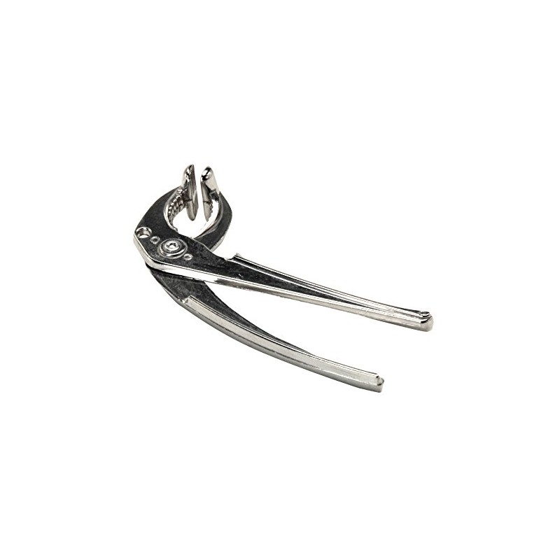 Money Serie, Tongs, Silver Length 17 cm Perfect De Wrinkle Stone