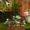 DII Cast Iron Collection Decorative Bird Bath, Mermaid, 6.5 x