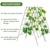 AGTEK 2 Packs 18" x 46" Foldable Cucumber Trellis with
