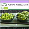 SAFLAX - Organic - Bean - Edamame - 8 Seeds