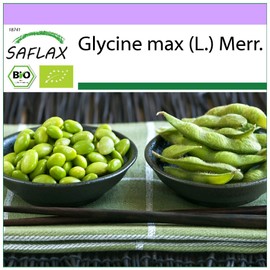 SAFLAX - Organic - Bean - Edamame - 8 Seeds - Glycine