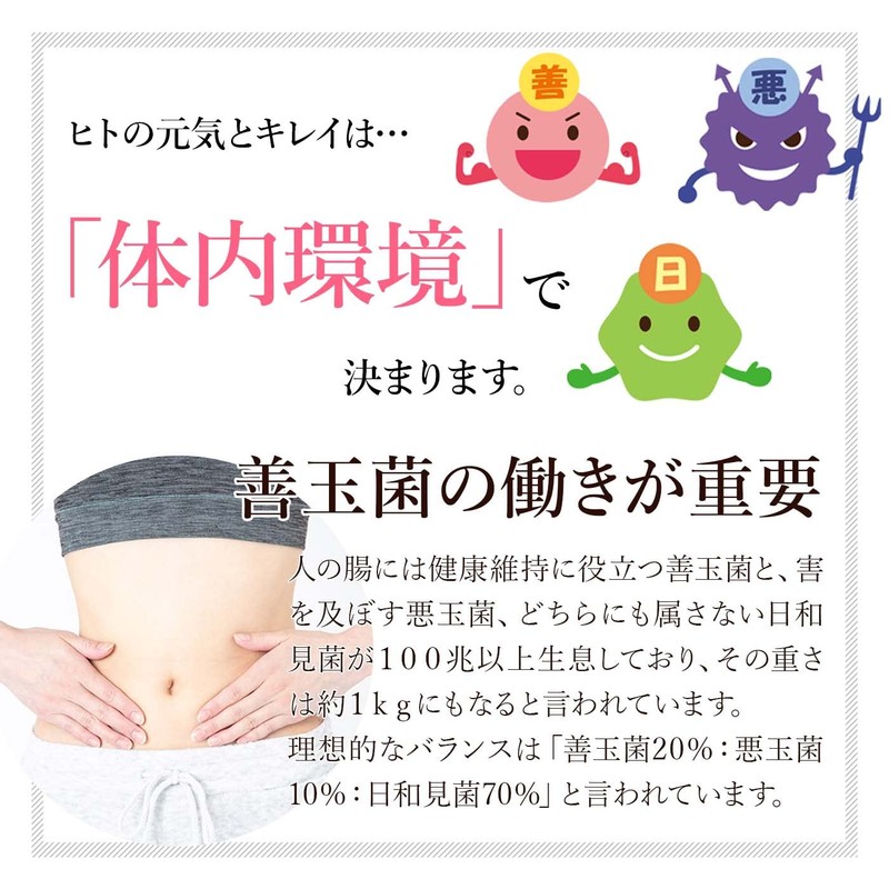 フィビナス 30包 (ヨーグルト30リットル分) 種菌 ヨーグルト ケフィア