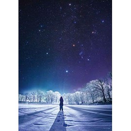 KAGAYA Winter Diamond 500 Piece Jigsaw Puzzle (38x53cm)