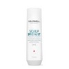 Goldwell Dualsenses Scalp Specialist Anti-Dandruff Shampoo 250ml