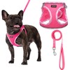 AMTOR Small Dog Harness with Leash Set, No Escape Easy