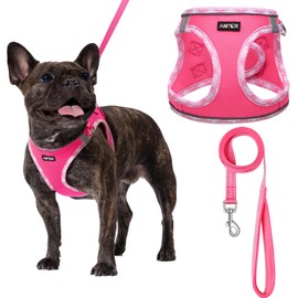 AMTOR Small Dog Harness with Leash Set, No Escape Easy Walk Puppy Harnesses for Training Walking, Step-in Reflective Soft Dogs Vest for XS S Medium Extra-Small Large Sized Dog(Fuchsia,L)