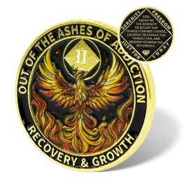 Phoenix Rising Sobriety Coin, Recovery Addiction NA AA Chips and Medallions, Narcotics Anonymous Gifts for Men Women (2 Year)
