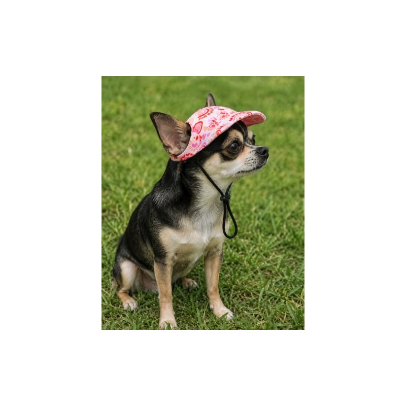 PET SHOW - Gorra de béisbol para perros pequeños