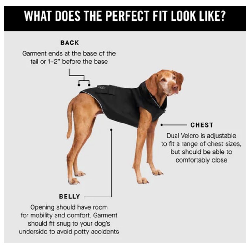 Canada Pooch Torrential Tracker Dog Rain Jacket (Black, 8 (7-9"