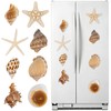 Natural Seashell Fridge Magnets 8PCS, Starfish Shell Refrigerator Magnets