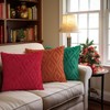 CJWLKJ 2Pcs Soft Faux Fur Throw Pillow Covers 18x18 -