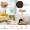 PETSITE Modern Cat Tree Tower, Paper Rope Natural Bowl Shaped