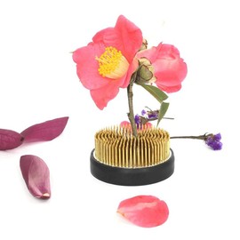 Cyancld Flower Frog, 2pcs Brass Flower Pin Round Flower Holder, Flower Arranging Supplies Accessories Floristry Supplies, for Flower Arrangement Art Home Office Decoration(Diameter: 3.5cm/1.4inch)