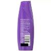Aussie Miracle Curls 샴푸 컨디셔너 세트 각 12.1fl oz Aussie