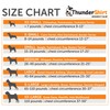 Thundershirt ThunderShirt for Dogs, X Large, Platinum Sport - Dog