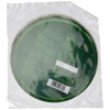 Ricefield Rice Paper Round 22cm 1 Pack (300g Pack)