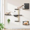 5-in-1 Cat Wall Shelves, Solid Wood & Velvet & Sisal