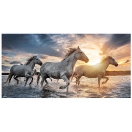 Theonoi Children's Hand Towel, Bath Towel, Beach Towel, Shower Towel for Girls and Boys, 100% Cotton, 70 x 140 cm (Horse)