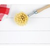 HIC Kitchen Natural Bristle Veggie and Dish Scrub Brush, Non-Scratch