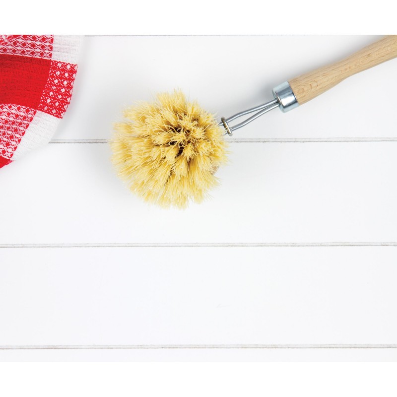 HIC Kitchen Natural Bristle Veggie and Dish Scrub Brush, Non-Scratch