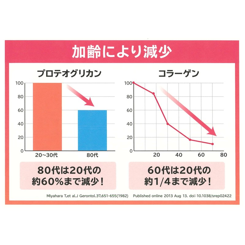 プラーゲン 生コラーゲン 生プロテオグリカン 国産 健康生活 美容 全身美容 乳酸菌 免疫力 健康力