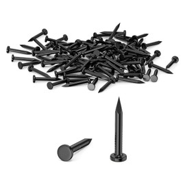 100Pcs 20mm Nails for Wood, Wood Nails, Galvanized Concrete Wall Nail, Masonry Nails, Picture Nails for Carpentry & DIY, Hanging Pictures and Woodworking-Black
