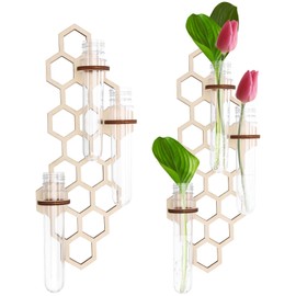 2 Pcs Wall Hanging Planter with Hollow Wood Stand, Space Saving Hanging Plant Propagation Station with Propagation Tubes for Hydroponic Flower Living Room Kitchen