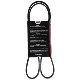Serpentine Belt