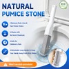 8 Pack Pumice Stone Toilet Bowl Cleaner with 2 Replaceable