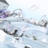 Respaldos de Arete de Silicona Transparente 550 Piezas