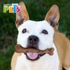 Fancy Pets Juguete Hueso para Morder con Fibra de Bambú