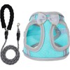 Dog Harness with Leash Set, Step-in Breathable Puppy Cat Dog