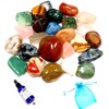 GeoFossils Mixed Bag Tumblestones 100grms with Organza Bag
